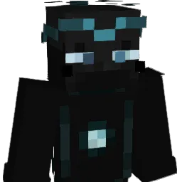 p_wim