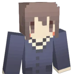pabook_32 Minecraft avatar bust