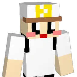 paceri Minecraft avatar bust
