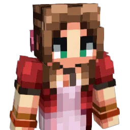 pacesoft1