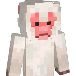 packingpnut