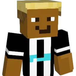 paddywaggy Minecraft avatar bust