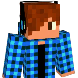 painapple1234 Minecraft avatar bust