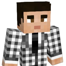 paint_tm Minecraft avatar bust