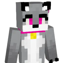 pakUnl Minecraft avatar bust
