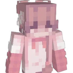 pakk_prett Minecraft avatar bust