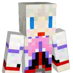 pakki_144 Minecraft avatar bust