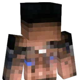 pakotacoo Minecraft avatar bust