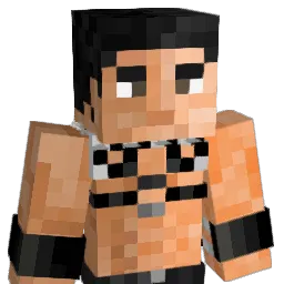 paledriverr Minecraft avatar bust