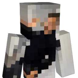 palizyd2137