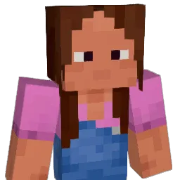 palplays1 Minecraft avatar bust
