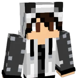 pandaas404's Minecraft skin