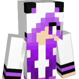 pandabear145 Minecraft avatar bust