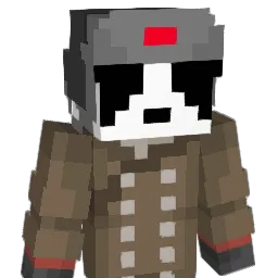 pandabro009 Minecraft avatar bust