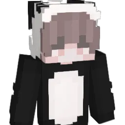 pandafarts101 Minecraft avatar bust
