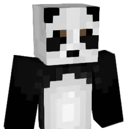 pandaking78 Minecraft avatar bust