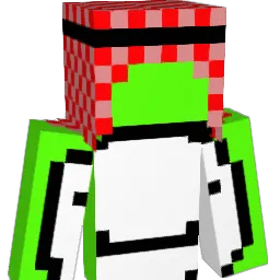 pandamacd Minecraft avatar bust