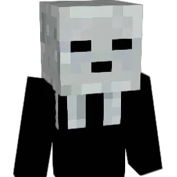 pandaman008 Minecraft avatar bust