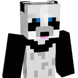 pandy33's Minecraft skin