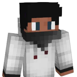 panthers1016 Minecraft avatar bust