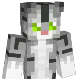 panzi3 Minecraft avatar bust