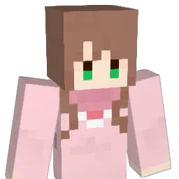 papi555's Minecraft skin