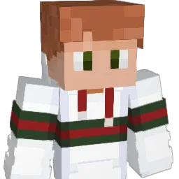 papin_sule Minecraft avatar bust