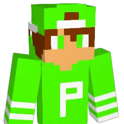 paquecool14 Minecraft avatar bust