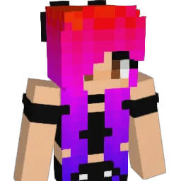 para_racer