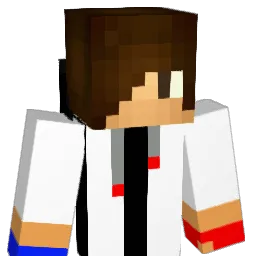 pardiez_2 Minecraft avatar bust