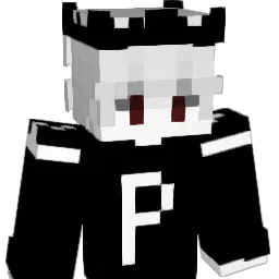 parsa8096 Minecraft avatar bust