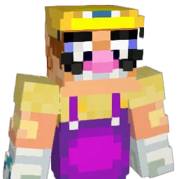party6765 Minecraft avatar bust