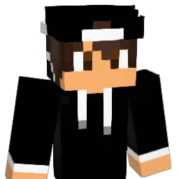 pasero00 Minecraft avatar bust