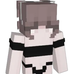 paskydnik233