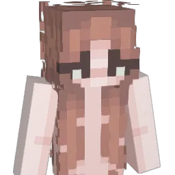 passebas's Minecraft skin