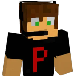 passw's Minecraft skin