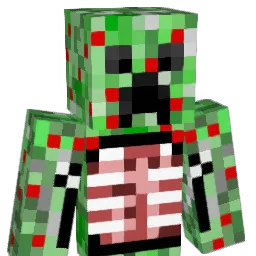 pat1030 Minecraft avatar bust