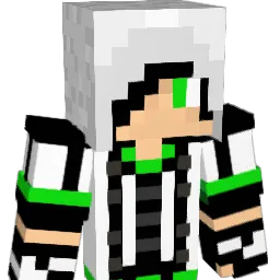 pat9912 Minecraft avatar bust