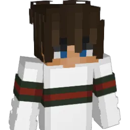 patsfan081 Minecraft avatar bust