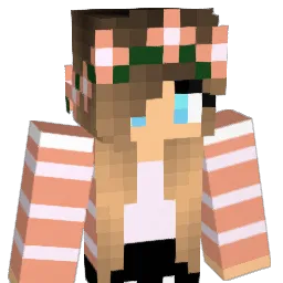 paugargom98 Minecraft avatar bust