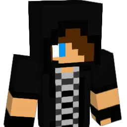 paul9212 Minecraft avatar bust