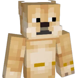 pauldone216 Minecraft avatar bust