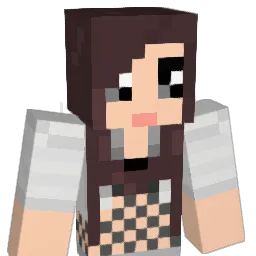 pauliii Minecraft avatar bust