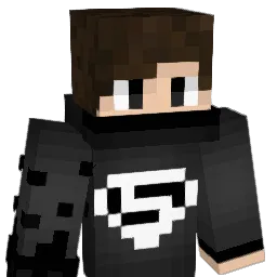 paulo1056 Minecraft avatar bust