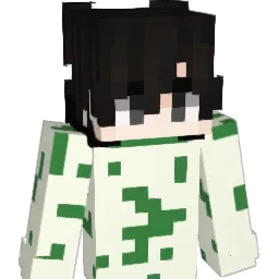 paulpaaton Minecraft avatar bust