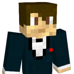 paulsen_007 Minecraft avatar bust