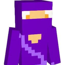 paurodri's Minecraft skin