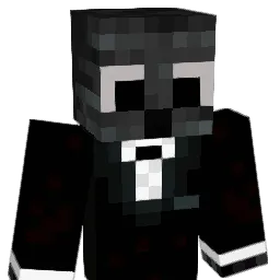 pavle1001 Minecraft avatar bust