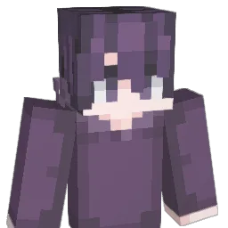 pawel2431 Minecraft avatar bust