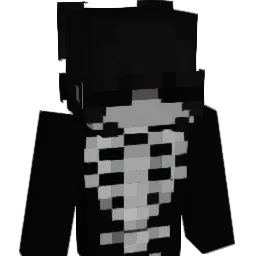 paypalmethod Minecraft avatar bust